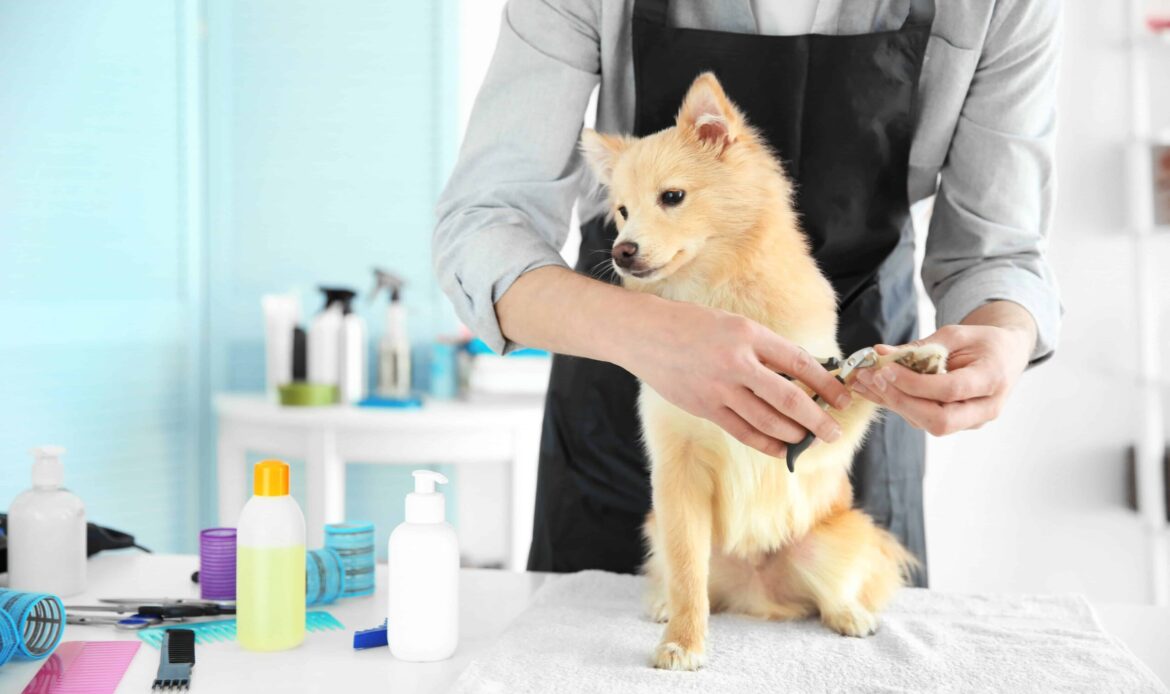 Mobile Pet Grooming Franchises