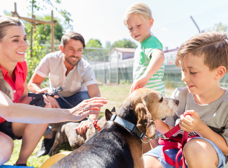 A happy family with an adopted dog.