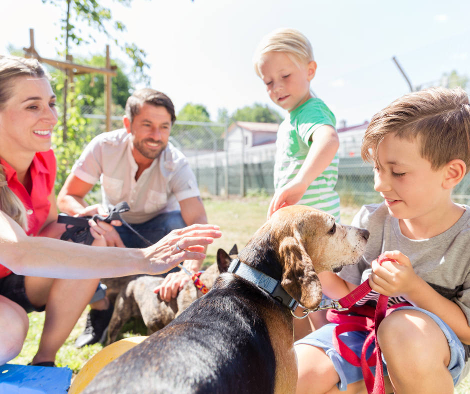 A happy family with an adopted dog.